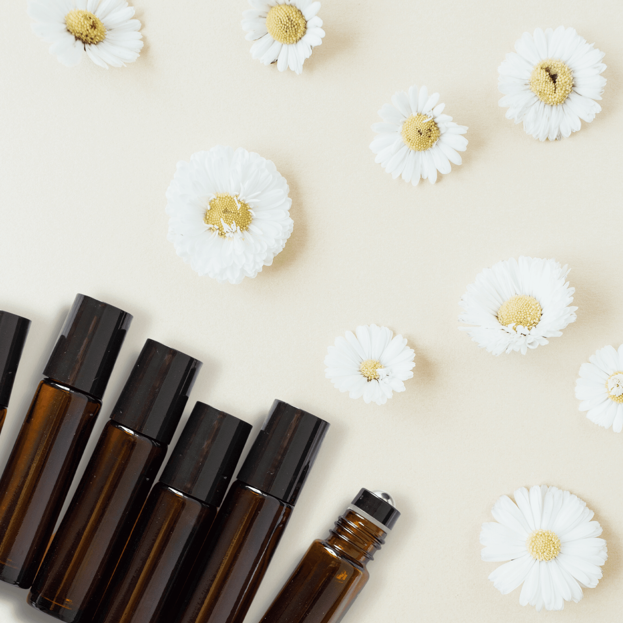 find your love language and matching roller blend - 10ml roller bottles, DIY, fractionated coconut oil, Love Language, Roller Bottle, roller recipes, Valentines Day - local - letsbelocal.ca