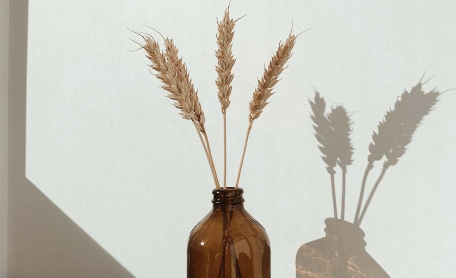 why refill? - blog, diy, glass bottles, Recycle, repurpose, Reuse - local - letsbelocal.ca