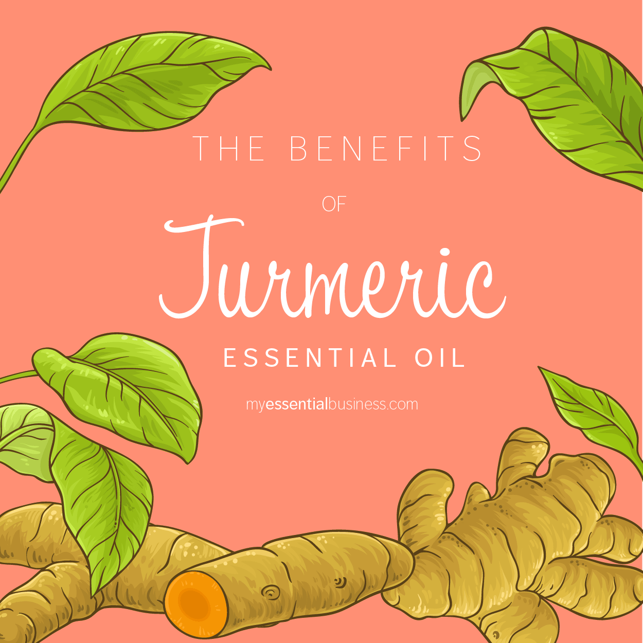 The Benefits of Turmeric Essential Oil - - local - letsbelocal.ca
